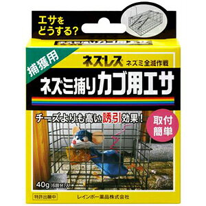 yC{[izlY~̃GT lY~߂JSpGTy40gz