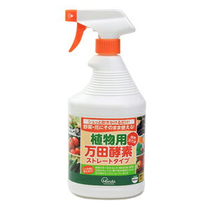 yACXI[}zt̔엿 ApcyfXg[g^Cvy900mlz