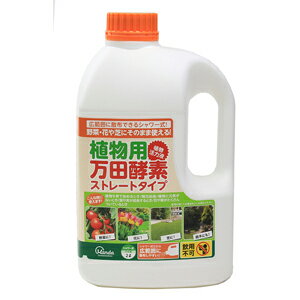 yACXI[}zt̔엿 ApcyfV[^Cvy2Lz