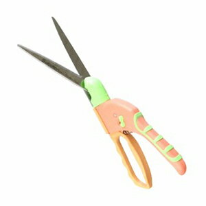 yT{ezŐ fB[X]ŐyNOD1050 sNz