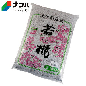 yƒ뉻wzC ǃep @ی]y@ەǎኑ 3ؗpNo.1