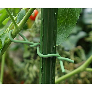 yDAIMz|i 炩ohy2D5×5m O[z