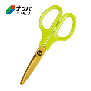 y[֓KpizyvXz͂ nT~ tBbgJbgC􂦂`^Ay34-555 O[z