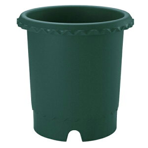 yb`Fz oy12 GR 360×360mm _[NO[z