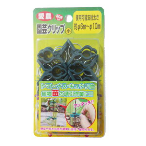 y[֓Kpizy_zUNbv |Nbvy 20 ΁z