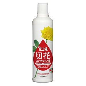 yZFw|z؉ԉ ԍH؉ԃOCtty480mlz