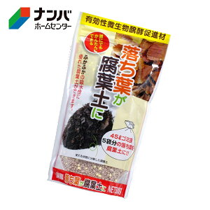 yazpy 엿 y Lyi ttyɁy500gz