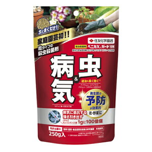 yZFw|zEEۗ xjJXK[h܁y250gz