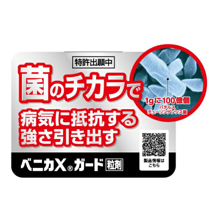 【住友化学園芸】殺虫殺菌粒剤 ベニカXガード粒剤【250g】 ナンバ 住友化学・ベニカX ガード250g e-花屋さん