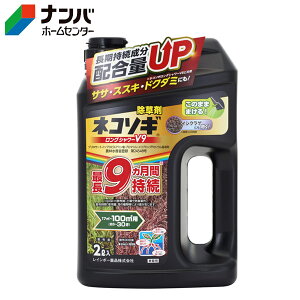 yC{[iz _knp  lR\MOV[V9y2Lz