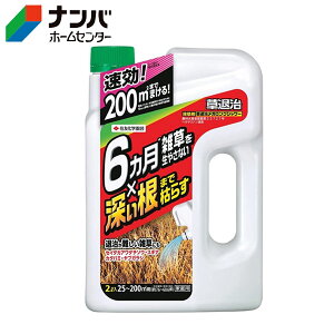 yZFw|z _knp  ގKOV[y2Lz