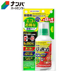 yZFw|z _knp  ގKOFLy250mlz