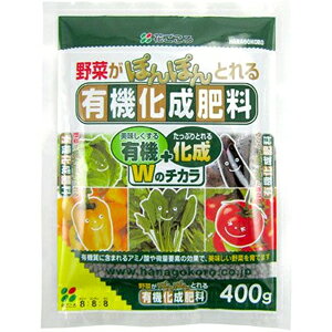 yԂz엿 ؂̗L@엿y400gz