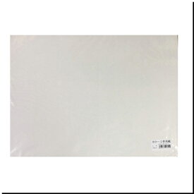 【エスケント】工作用紙 カラー工作用紙【711112 39.4×53.8 しろ 2枚】
