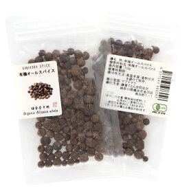 オーガニック オールスパイス 10g／50g／500g 【有機JAS認証 ／ グアテマラ産】 無添加 農薬不使用 無化学肥料 [ 鎌倉香辛料 ]