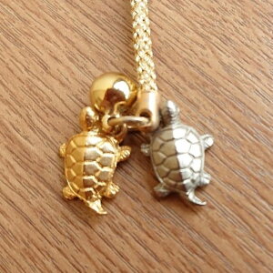 a T ta   g[^X turtle t Xgbv  ^ v[g i GIFT