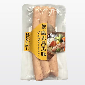 yi`NzyYz MEGUMI ECi[ WW[ I 傤 