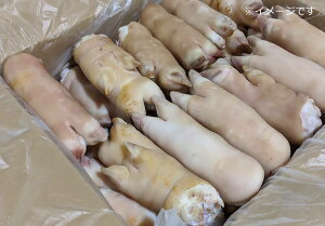 �y�i���`�N�z�y���Y�z�y�Ɩ��p ��e�ʁz�y���������z�ؑ��i�đ��j 10kg ������