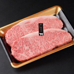 yi`NzyYzyMtgzyzT[CXe[L 2 v400g 