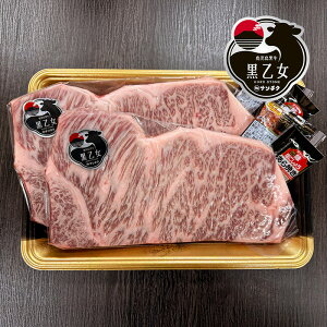 yi`NzyYzyMtgzyz   [XXe[L 2 v400g 