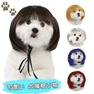 LpEBbO RXv nEB  RX`[ fB[X ^ q  qL ^蕨  ybgEBbOXq