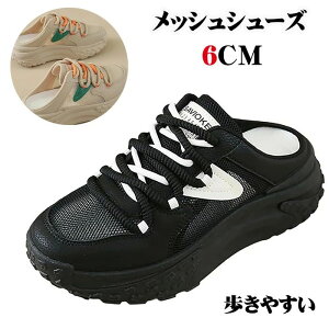 6cm y Xb| _炩\[ Xj[J[ ₷ fB[X ʋC ƂȂ bVV[Y  [XAbv