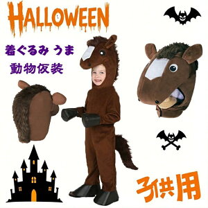 QA[g nEB  n oYj a qp  o A̕ pW}  N  킢