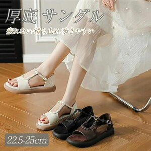 T_ JWA r EFbW\[ 3cm  fB[X Ȃ Xg[g T  ~  I[vgD