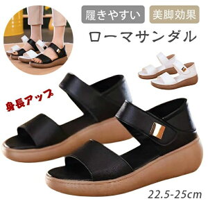 T_ fB[X X O䋸 X|[cT_ RtH[gT_ T_ gAbv EFbWT_