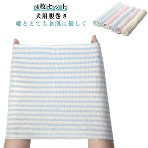 ΍ ̎q y4Zbgz ͂܂ ₦΍ q  ybg ybgpi VjA  L ₦ǃPA hbOEGA