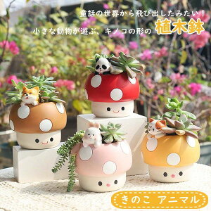   ~j L    Aؔ G Aj} p_ 킢  [ v^[ RPE  LmR