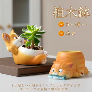 [  v[g  ϗtA G 킢  ~jAKp v^[ z[   L Aؔ 