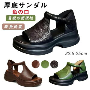  ̌ Xg[gT_ 5cm I[vgDEFbW\[T_ xNfUC fB[X [}  4E