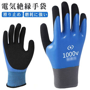 �d�C�p�S����� �d�H��� �d�C�≏��� �n ����~�� 1000V �O���[�u ���Ղɋ��� �d�C�H���m���E ���S�ȍ�� �≏��� �d�C�≏