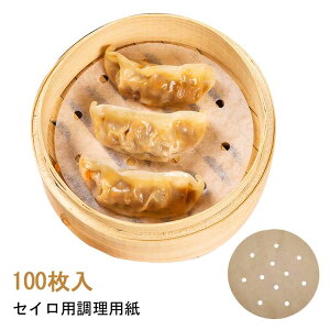 a9`26cm NbLOV[g  100 y[p[   p Zp V[g ی^ p ZCp p