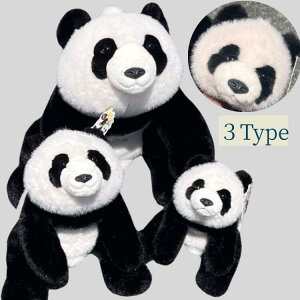 Ԃ NbV ӂӂŖ    q 3^CvCeA p_ ʂ lCI