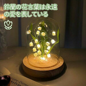`[bv DIY ԐڏƖ iCgCg Cg Cg e[uv 闖 v[g dr DIY LED xbhTChv