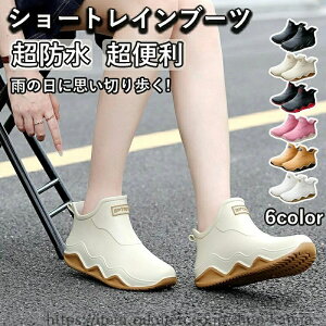 y ₷ y ~h C EhgD V[g  Y  CV[Y ZC JC