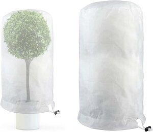 hlbg ۉ AhJo[  Jo hlbg ϗtA sDz ~p 2 hlbg AیJo[ В