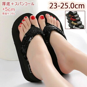  q[ XpR[ T_ r[`T_  fB[X  傫TCY 