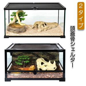 gJQ oXLOX|bgW  T B  { iϑ  ঒ VF^[ WVF^[   Xg