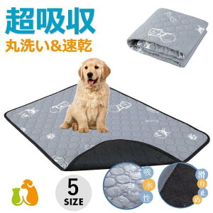 ybgV[c }bg gCV[g ybgp ybg}bg 􂦂ybg}bg ~