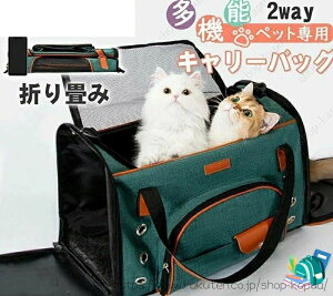 PU | L[obO  g L[P[X ybg L V_[ ܂ 傫 L[P[W ybgL[