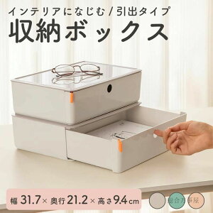 o fXN 31.7×s21.2×9.4cm [{ [{bNX [ [ pi P[X ItBX[ Ђ 