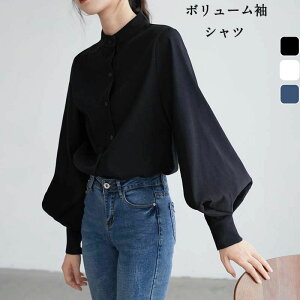   Vc X^hJ[   fB[X uEX VcuEX ۂ hbvV_[ I[o[TCY