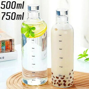 ϔMKX  EH[^[{g ⋋ KX   ^C}[J[ NA 750ml 500ml  KX{g