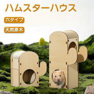 nX^[  nX^[nEX pnEX DIYnEX n p ybg nEX X  Vя gvtA