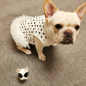  JWA tu t 킢 m ^  ^ t`uhbO XJ[g  ^ ̎q ybg 