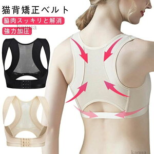 Ci[ Lw w؋xg pT|[^[ pP  ͉  Lwxg eɂȂ  xg  