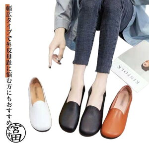 C hCrOV[Y  s O ł L CY łC ₷ɂȂC b ͂΂Ђ  C